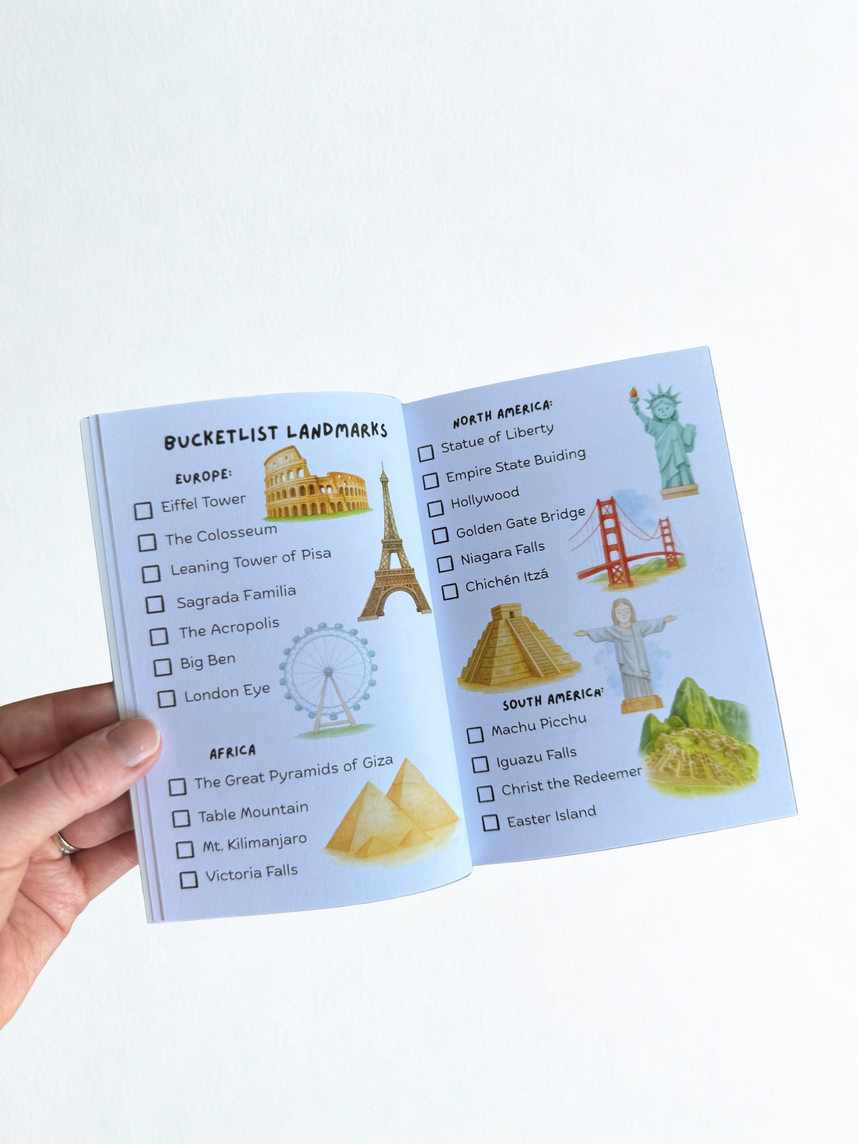 Pippin Panda Flight Logbook