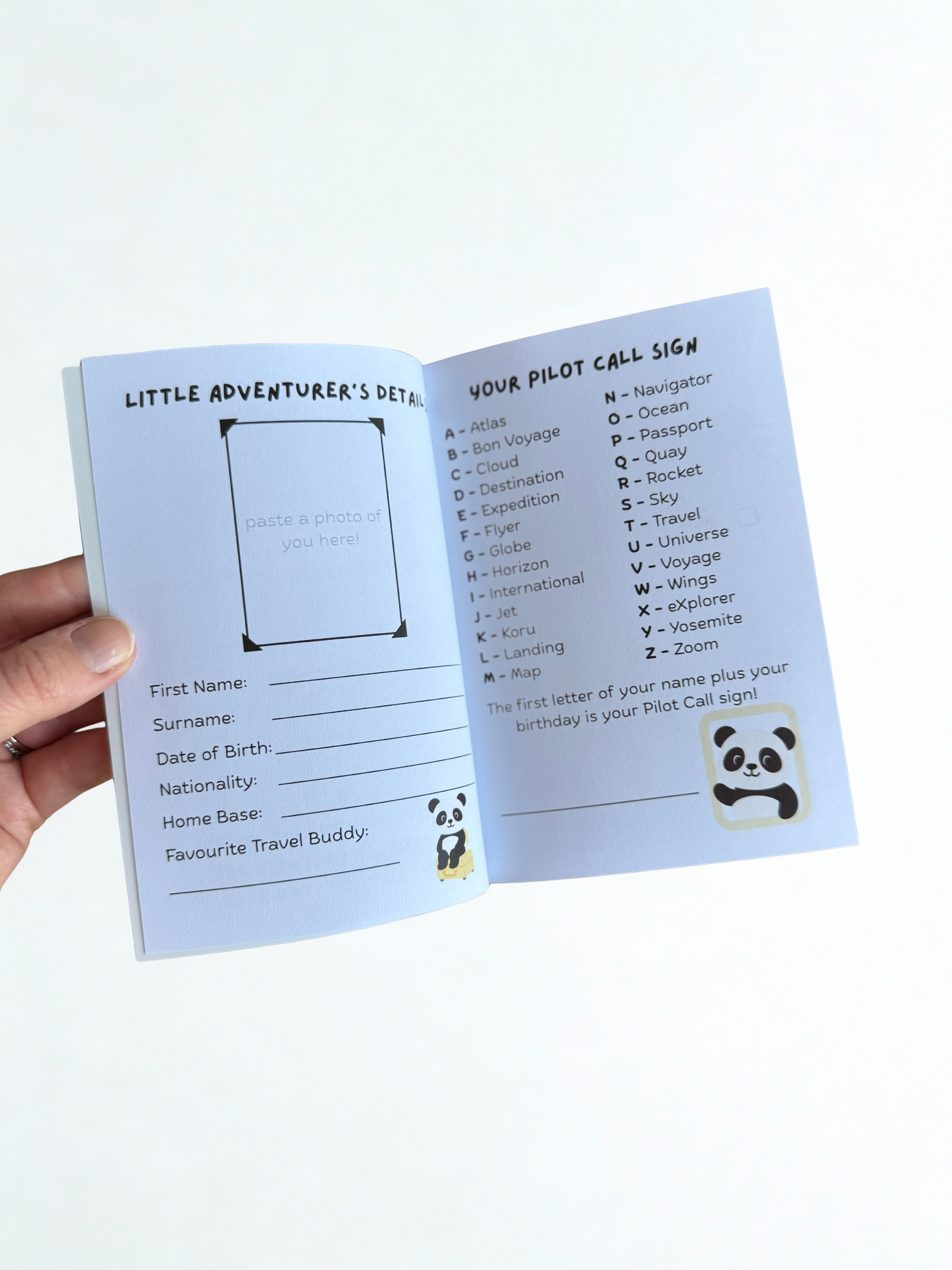 Pippin Panda Flight Logbook